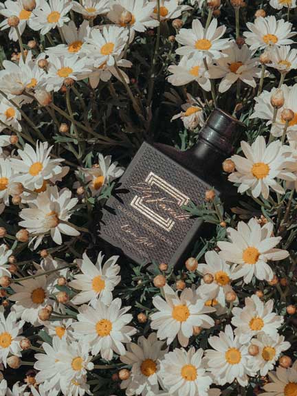 Bottiglia Vetro Quadrata Black - Olio EVO Monocultivar "La Coratina" - 250ml